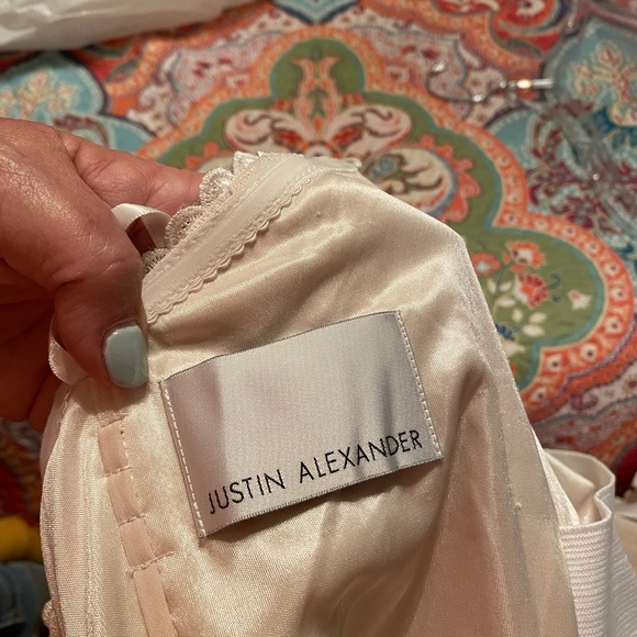 Wedding Dress - Picture 5 of 14